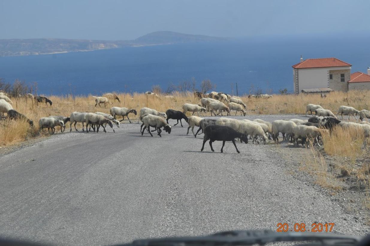 Island Villa Agia Galini  Bagian luar foto