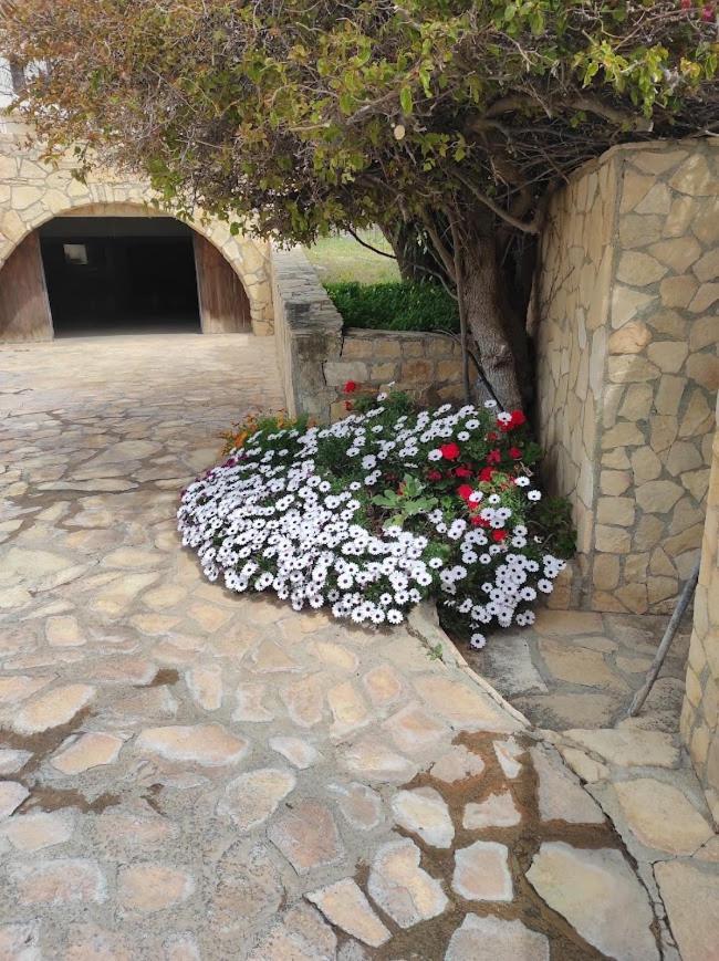 Island Villa Agia Galini  Bagian luar foto