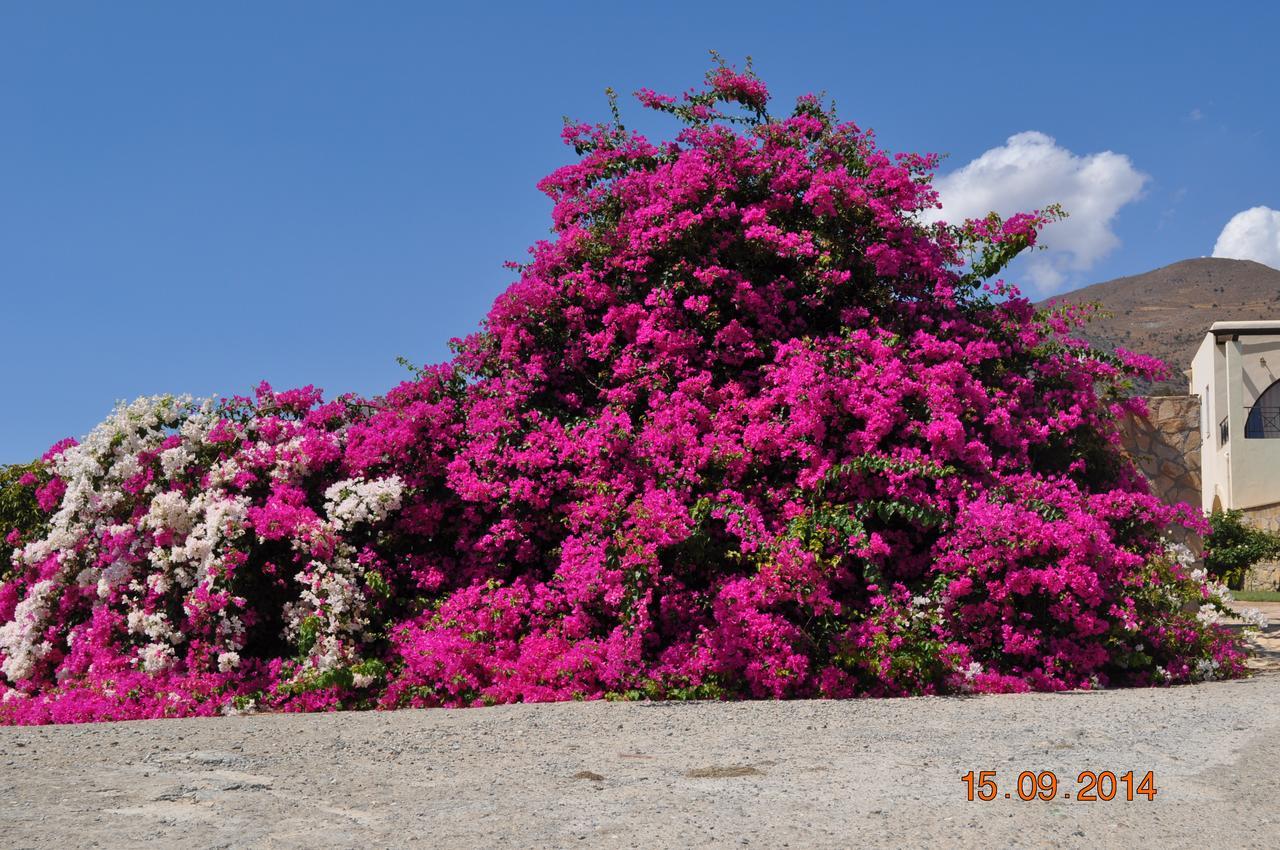 Island Villa Agia Galini  Bagian luar foto